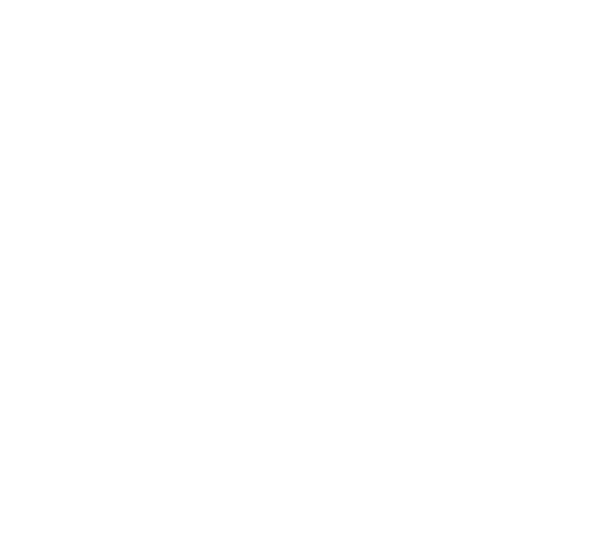 Большой концертный зал Октябрьский
